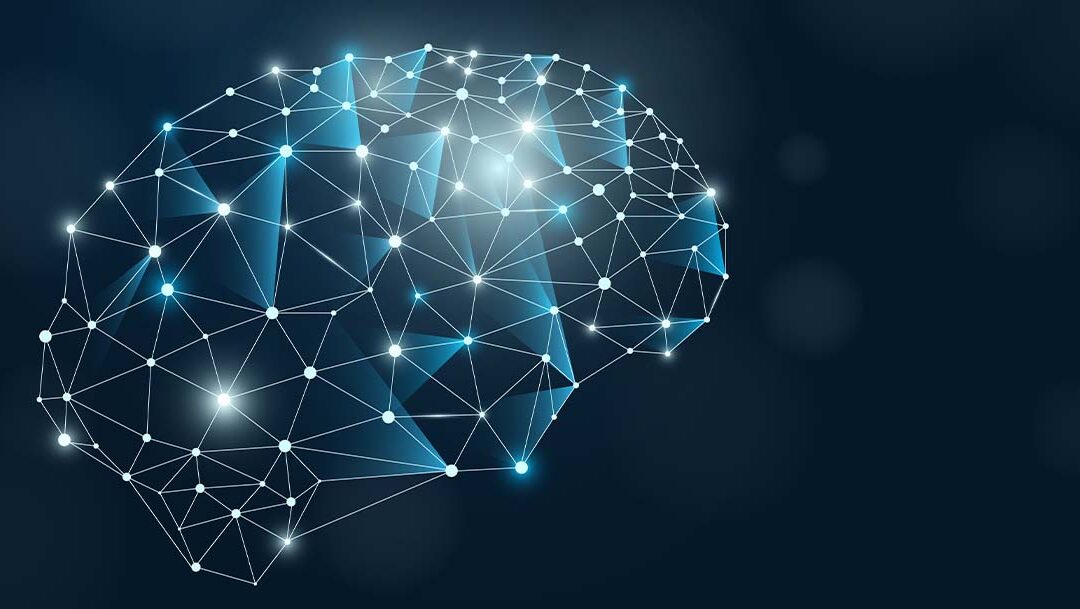 Come funziona il cervello mentre si medita.