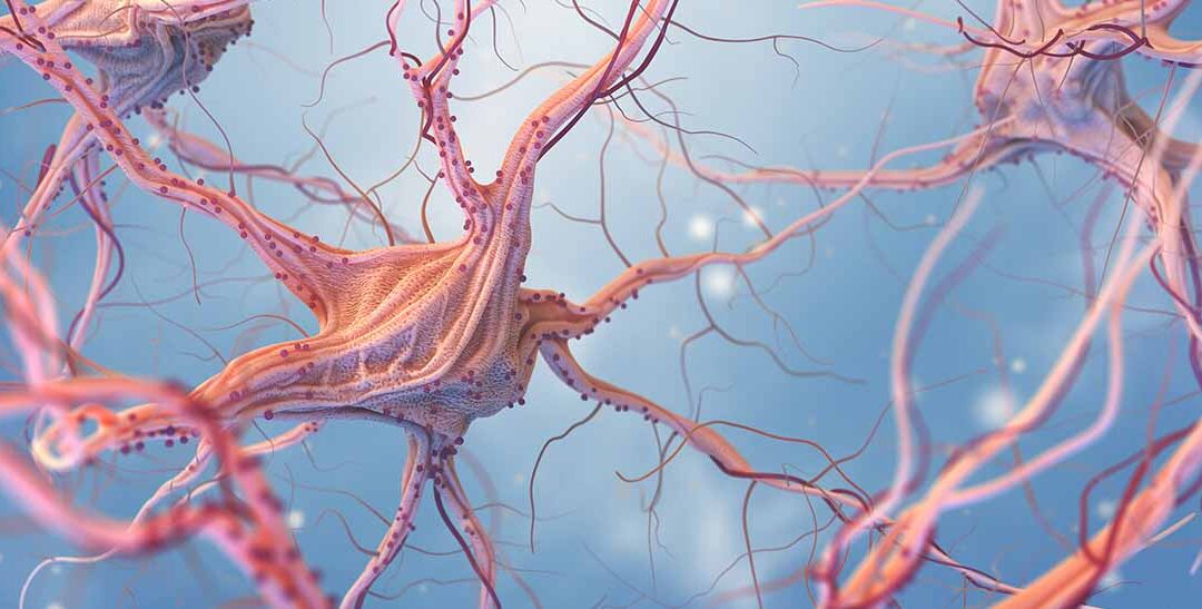 Pratica yoga e crescita dei neuroni.