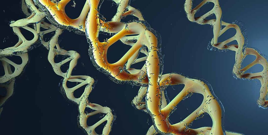 Yoga e meditazione cambiano le risposte genetiche allo stress.