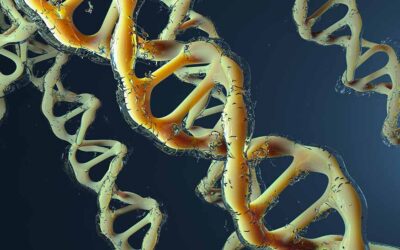 Yoga e meditazione cambiano le risposte genetiche allo stress.